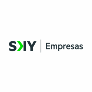 https://empresas.skyairline.com/es/chile/login